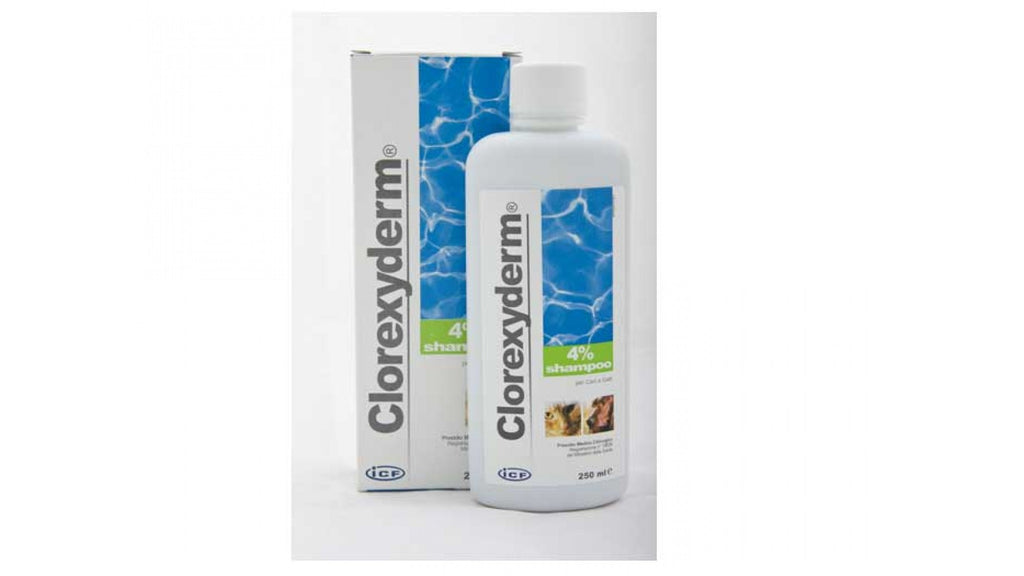 Clorhexyderm Sampoo 4% 250 ml