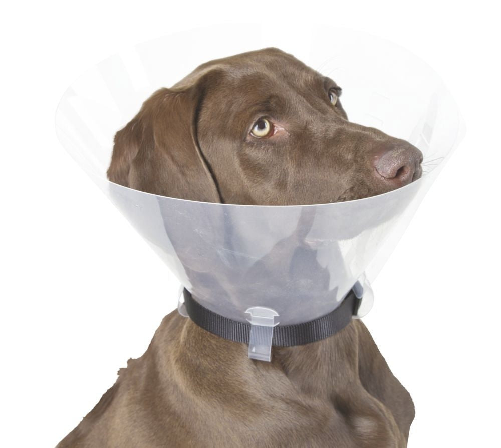 Guler Chirurgical XL