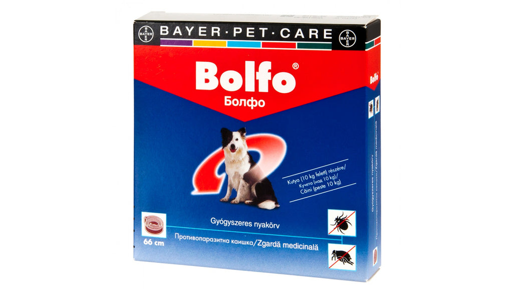 bolfo-dog-66 zgarda