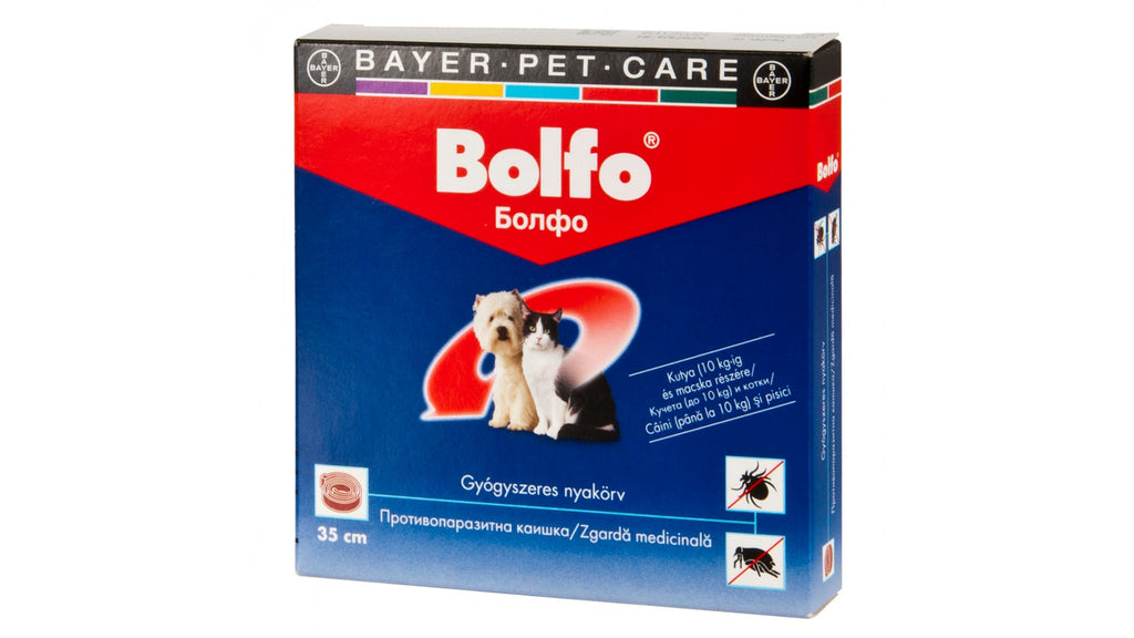 bolfo-dog_cat-35 zgarda