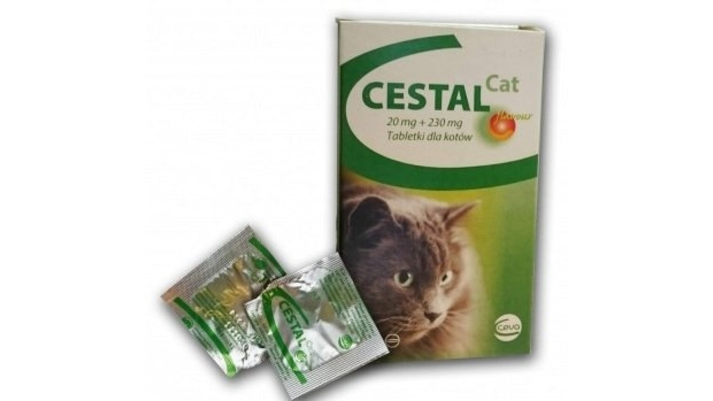 cestal_cat