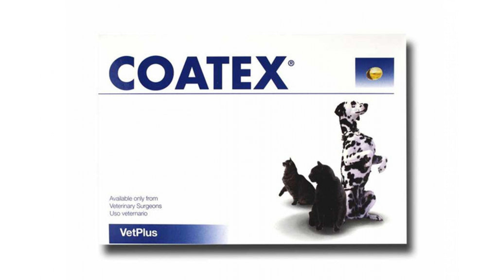 coatex