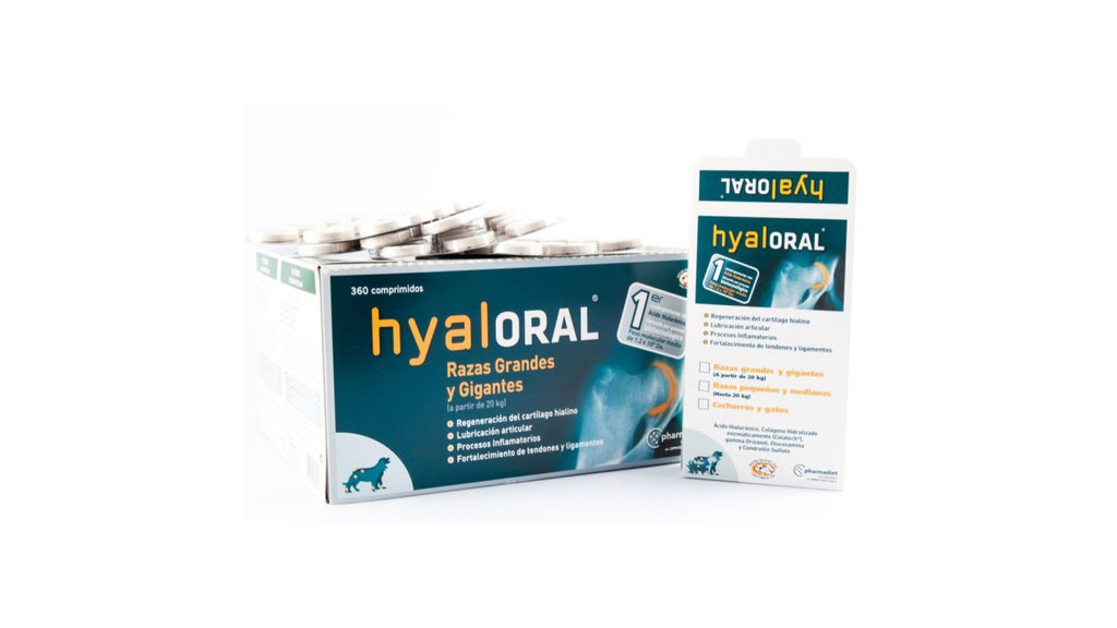 hyaloral-large-breed-12-tablete-blister