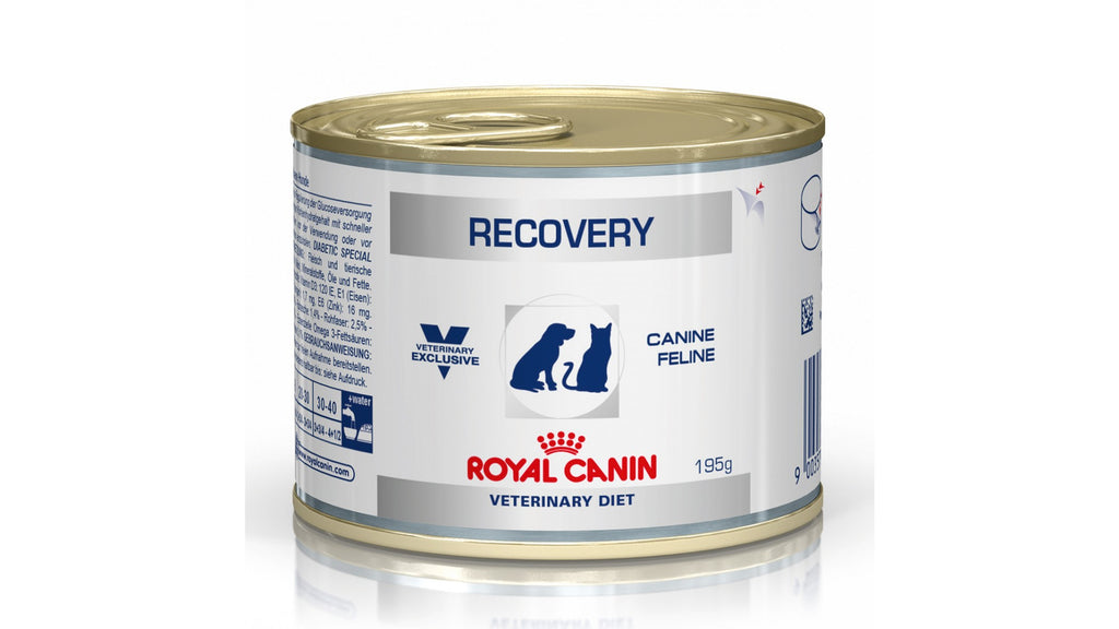 royal_canin_recovery-dog-cat-195g